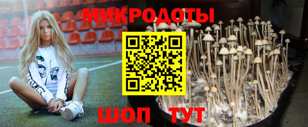 Галлюциногенные грибы мицелий Сосновоборск